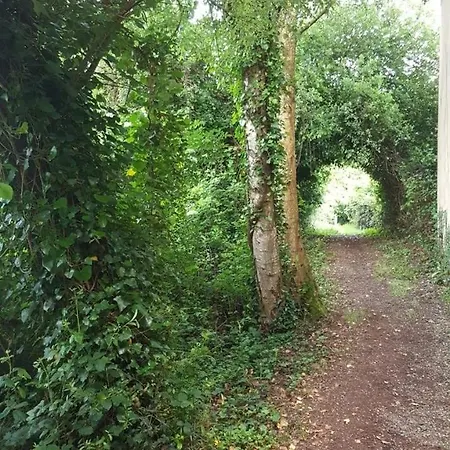 Precioso Con Patio Centro De *