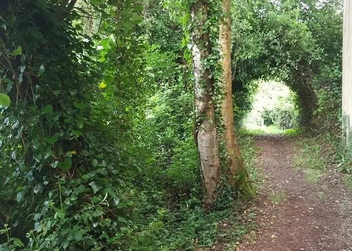 Precioso Con Patio Centro De *